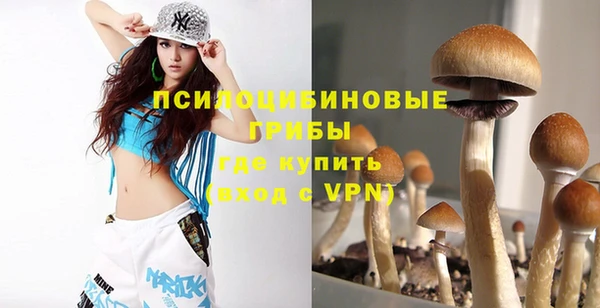 синтетический гашиш Ладушкин