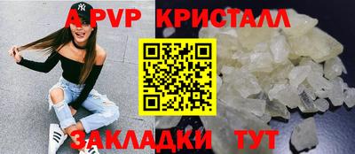 стафф Кингисепп