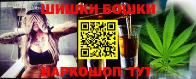 стафф Кингисепп