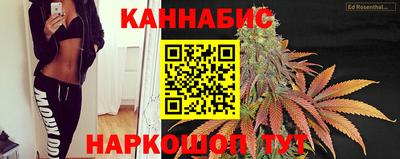 стафф Кингисепп
