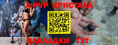 стафф Кингисепп