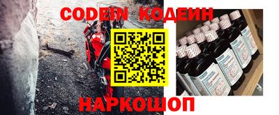 стафф Кингисепп