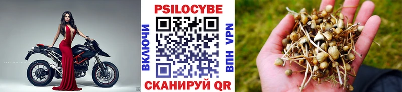 hydra онион  Михайловка  Галлюциногенные грибы GOLDEN TEACHER  цена наркотик 