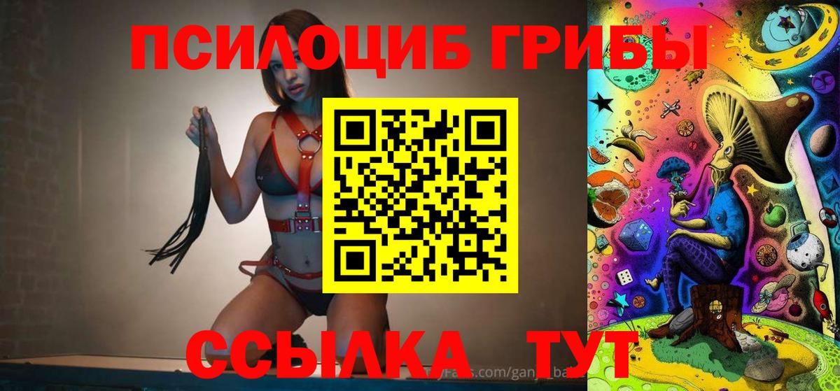 Псилоцибиновые грибы MAGIC MUSHROOMS  Вход с VPN  Михайловка 